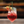 Load image into Gallery viewer, Seadrift BY JULES Wild Hibiscus 0%
