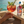 Load image into Gallery viewer, Seadrift Orange Aperitif - Zero Alcohol
